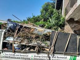 Best Recycling Services for Junk  in Boulder, CO